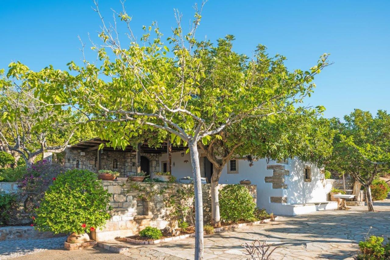 Villa Venus Avlemonas Exteriér fotografie