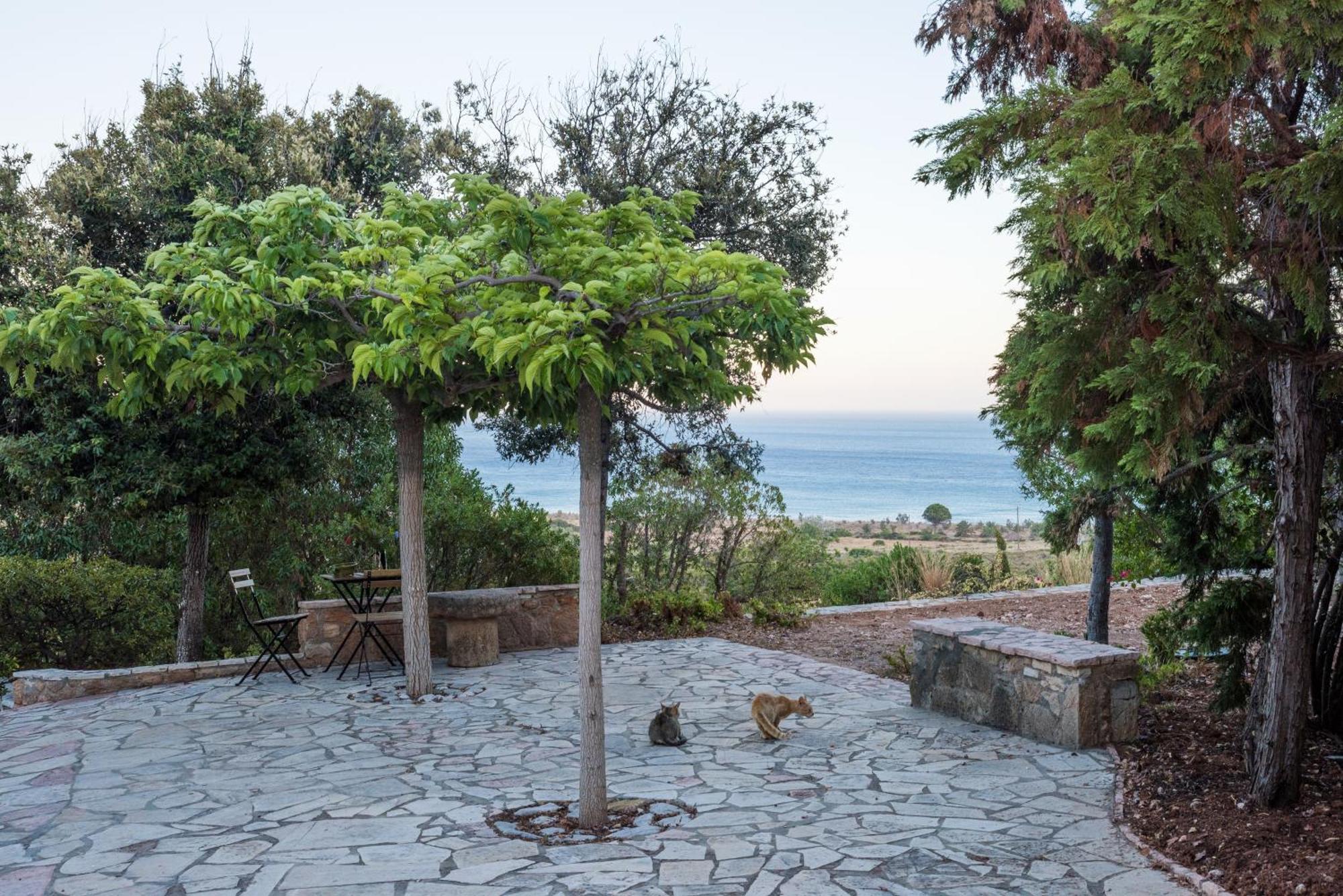 Villa Venus Avlemonas Exteriér fotografie